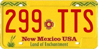 NM license plate 299TTS