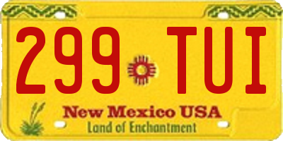 NM license plate 299TUI