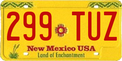 NM license plate 299TUZ