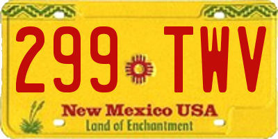 NM license plate 299TWV