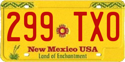 NM license plate 299TXO