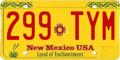 NM license plate 299TYM