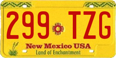 NM license plate 299TZG