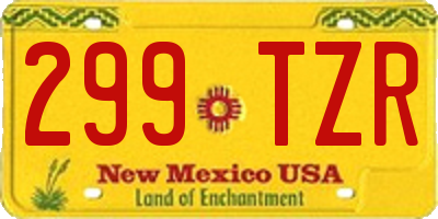 NM license plate 299TZR