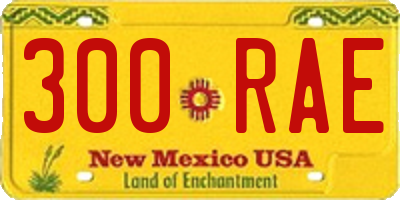 NM license plate 300RAE