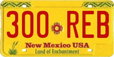 NM license plate 300REB