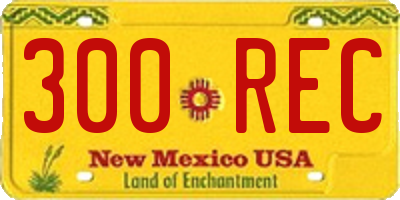NM license plate 300REC