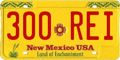 NM license plate 300REI