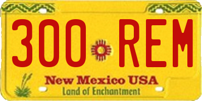 NM license plate 300REM