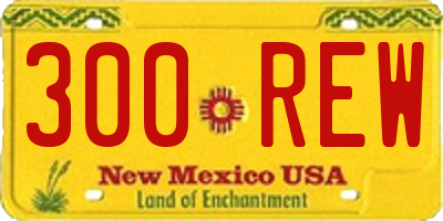 NM license plate 300REW