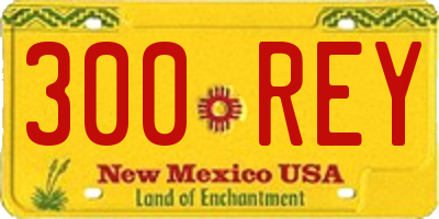 NM license plate 300REY