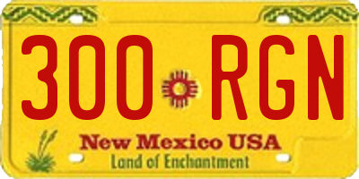 NM license plate 300RGN