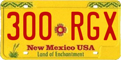 NM license plate 300RGX