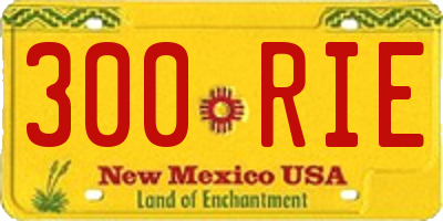 NM license plate 300RIE