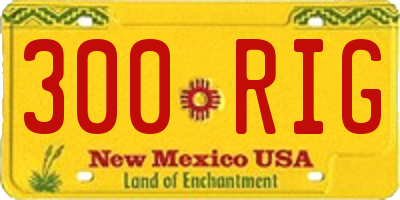 NM license plate 300RIG