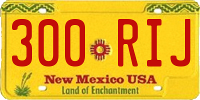 NM license plate 300RIJ