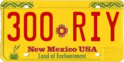 NM license plate 300RIY