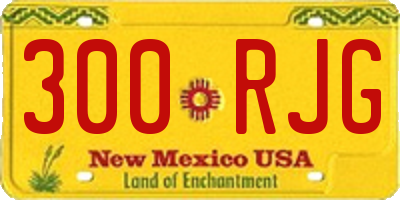 NM license plate 300RJG