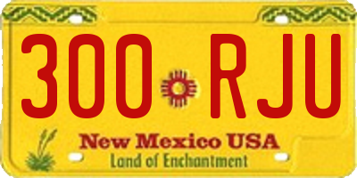 NM license plate 300RJU