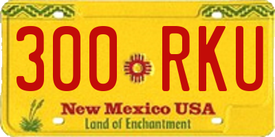 NM license plate 300RKU
