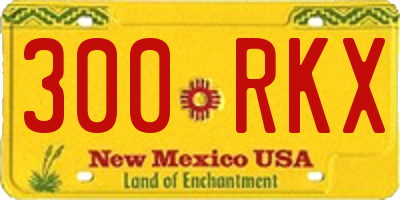 NM license plate 300RKX
