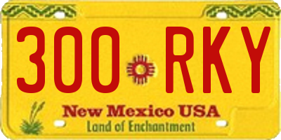 NM license plate 300RKY