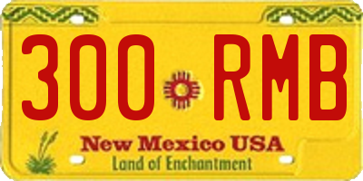 NM license plate 300RMB