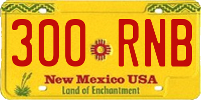 NM license plate 300RNB