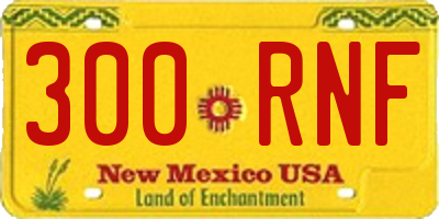 NM license plate 300RNF