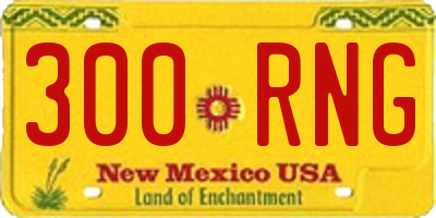 NM license plate 300RNG
