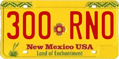 NM license plate 300RNO