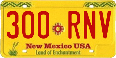 NM license plate 300RNV