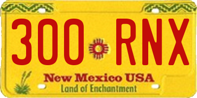 NM license plate 300RNX