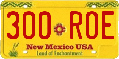 NM license plate 300ROE