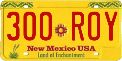 NM license plate 300ROY