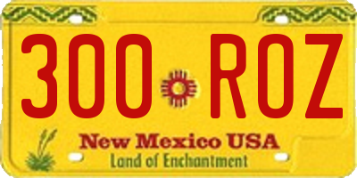 NM license plate 300ROZ