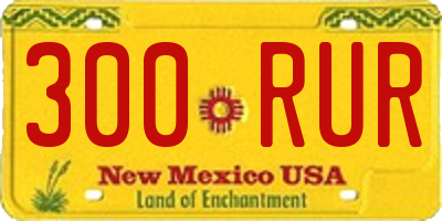 NM license plate 300RUR