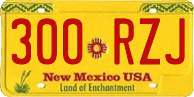 NM license plate 300RZJ