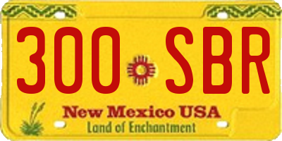 NM license plate 300SBR