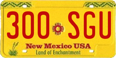 NM license plate 300SGU