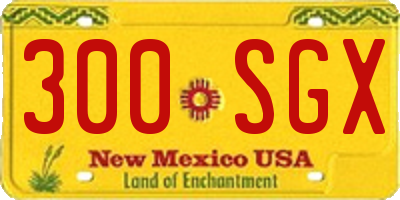 NM license plate 300SGX