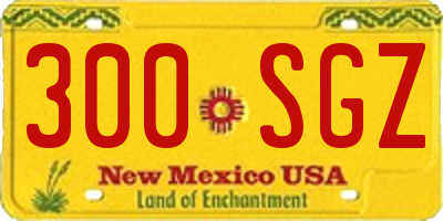 NM license plate 300SGZ
