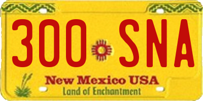 NM license plate 300SNA