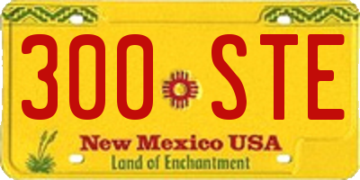 NM license plate 300STE