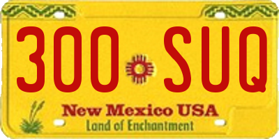 NM license plate 300SUQ