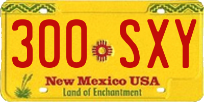 NM license plate 300SXY