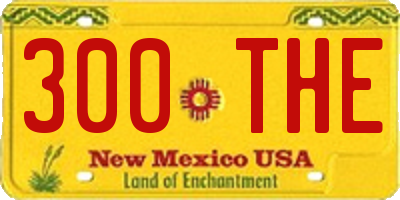 NM license plate 300THE