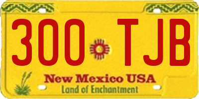 NM license plate 300TJB