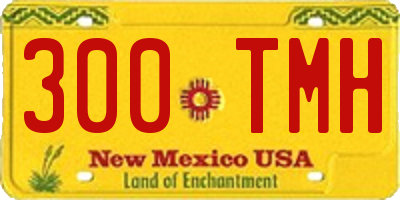 NM license plate 300TMH