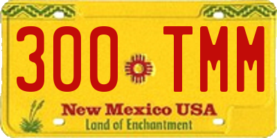 NM license plate 300TMM